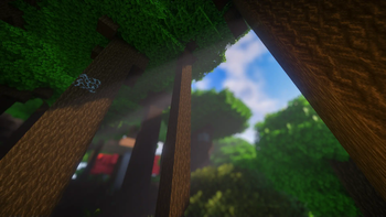 Tall Roofed Forest