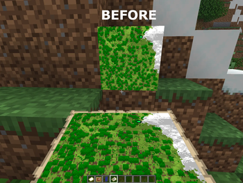 BEFORE