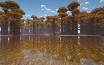 Maple Forest
