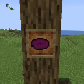 Velvet Disc