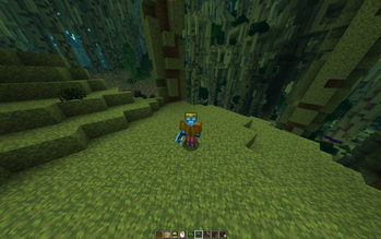 biome and items, forest
