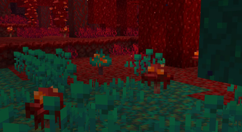 MusherLover (Mushroom Tweaks!) — screenshot 1