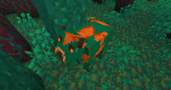 Warped Mooshroom!