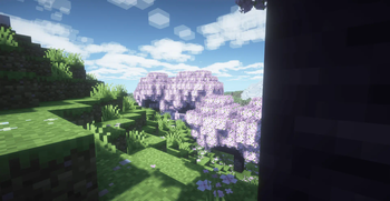 Cherry Grove with BSL Shaders