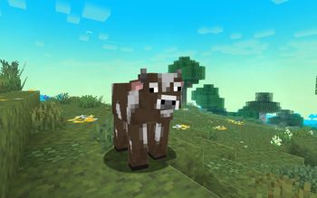 Cow
