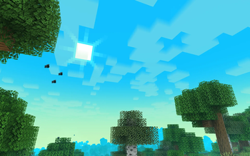 Skies and birds