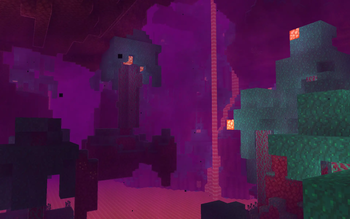 Warped Forest