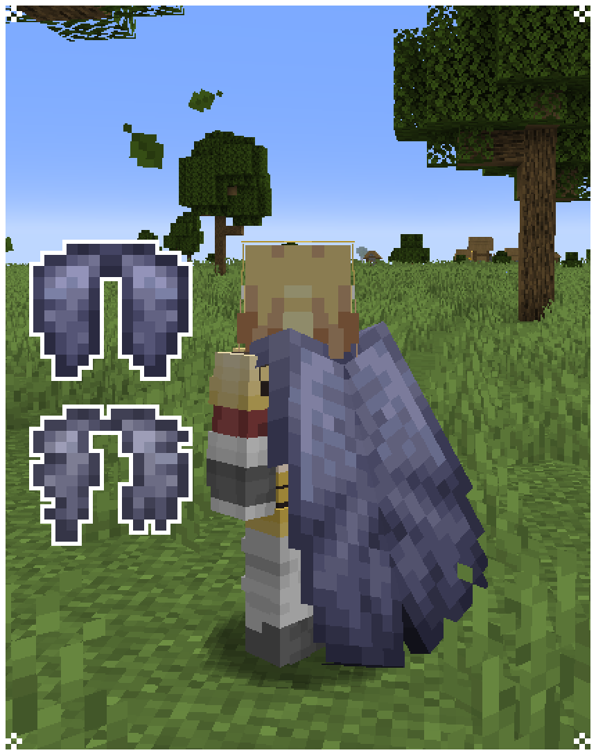 Elytra