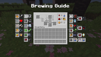 Brewing Guide