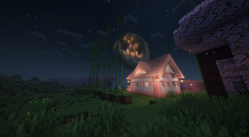 The Moon
