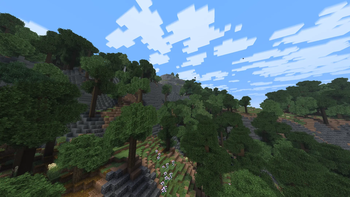Moutain 