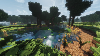 Lake 