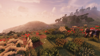 Another Landscapes
