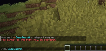 Teleport Cooldown