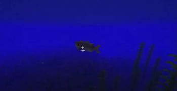 Fish Before Death