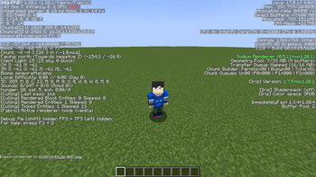 with f3 menu fps 