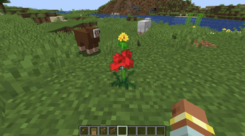 poppy :D