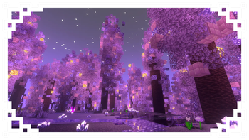 Amethyst Forest