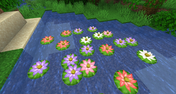 A colorful lotus arrangement for ponds and decorative waterscape