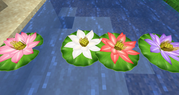 Pink, white, red, and purple lotus flowers with refined 3D model