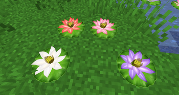 Lotus flowers can also be placed on land for gardens and landsca