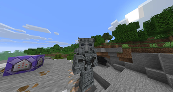 Armor on player