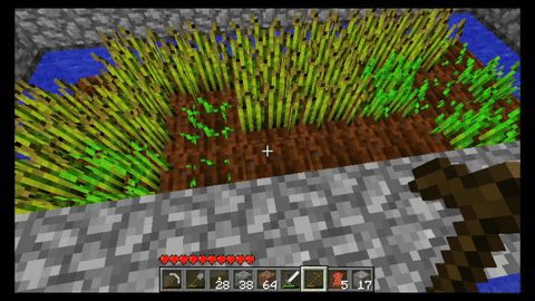 Havesting Ready Crops