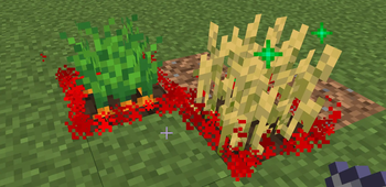 Crops with effect