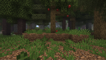Apple Tree
