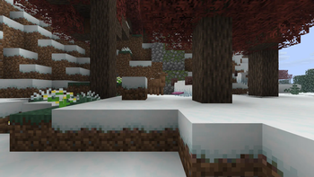 Snowwwwwwwwwww