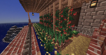 some crops