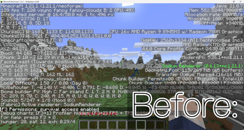 Usual F3 Menu, without the use of the mod