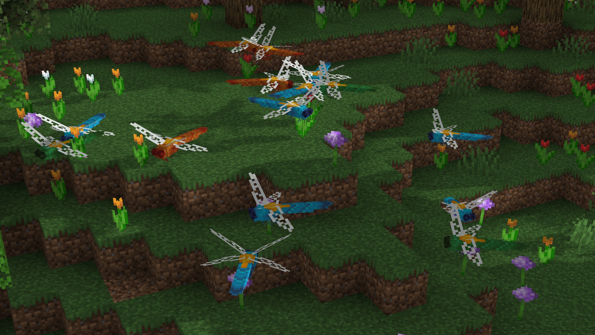 Dragonflies