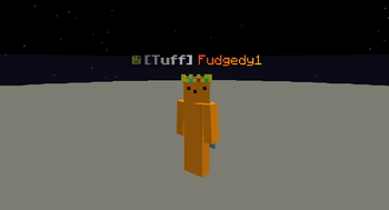 In Game Example of Nametag Cosmetics