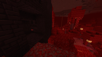 Crimson Forest + Nether Fortress