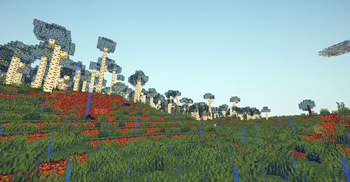shader