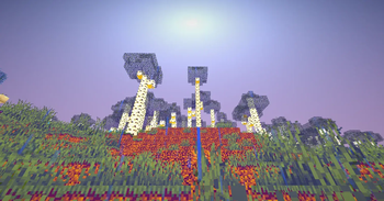 shader