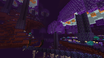 Nether