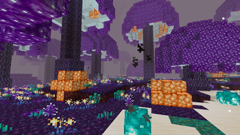 Nether