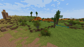 Warm biomes