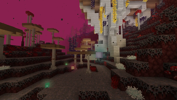 Nether