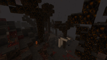 Nether 2