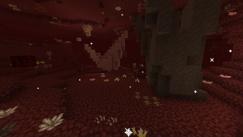 Nether crystals