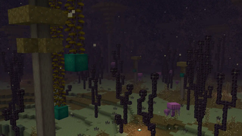 Celestial Grove