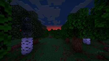Night (2)