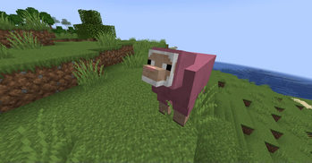 Works with other Resource Packs