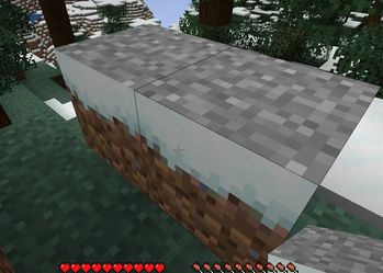 The Grass Block