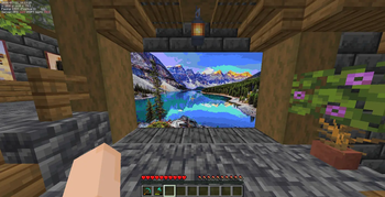 In-Game Picture