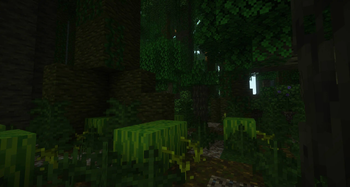 More Biomes