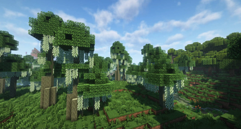 More Biomes